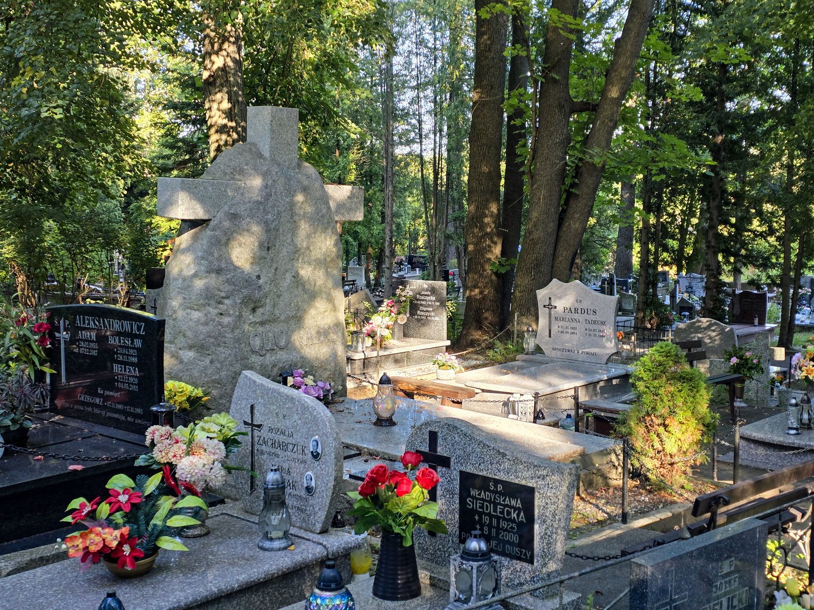 zakaz-sadzenia-krzewow-na-cmentarzach-134828