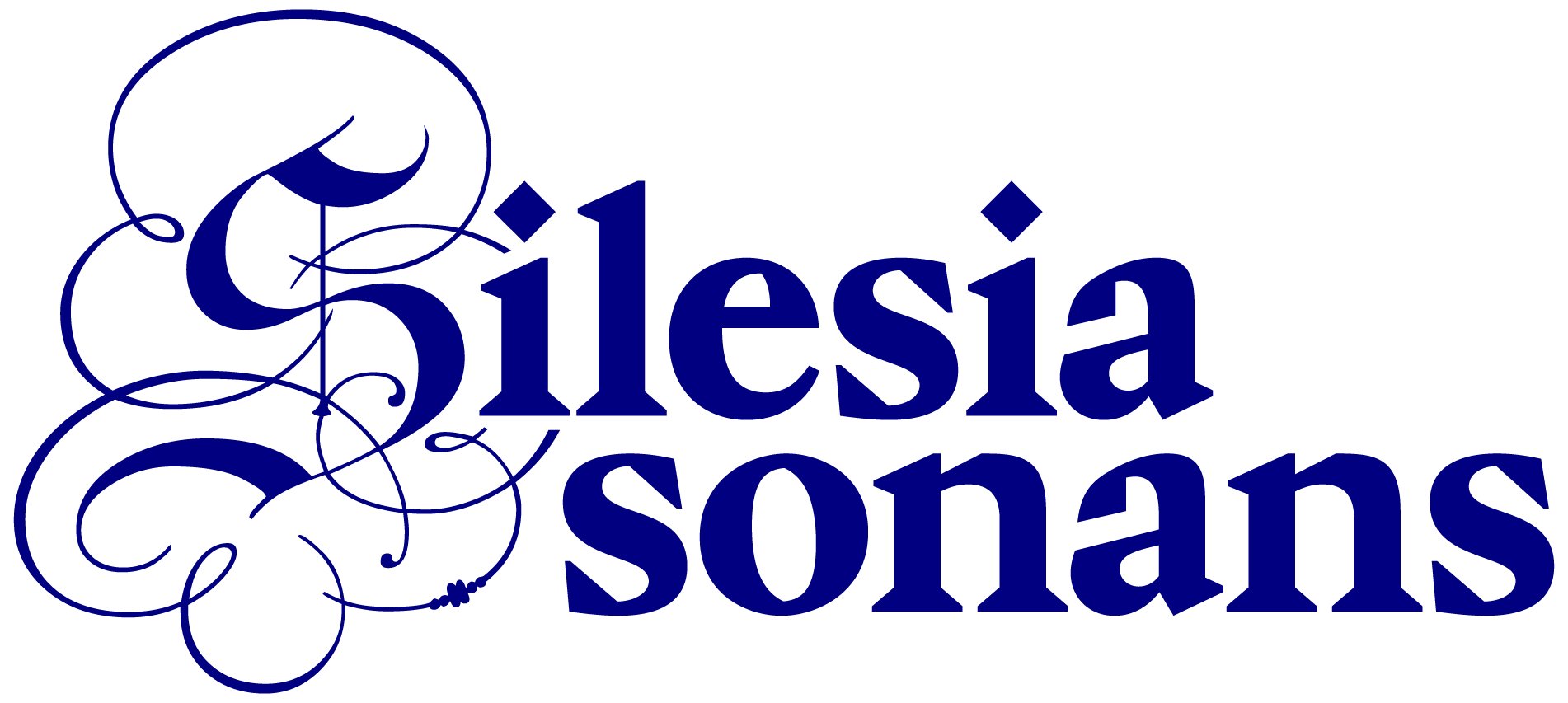 silesia-sonans-2025-134940
