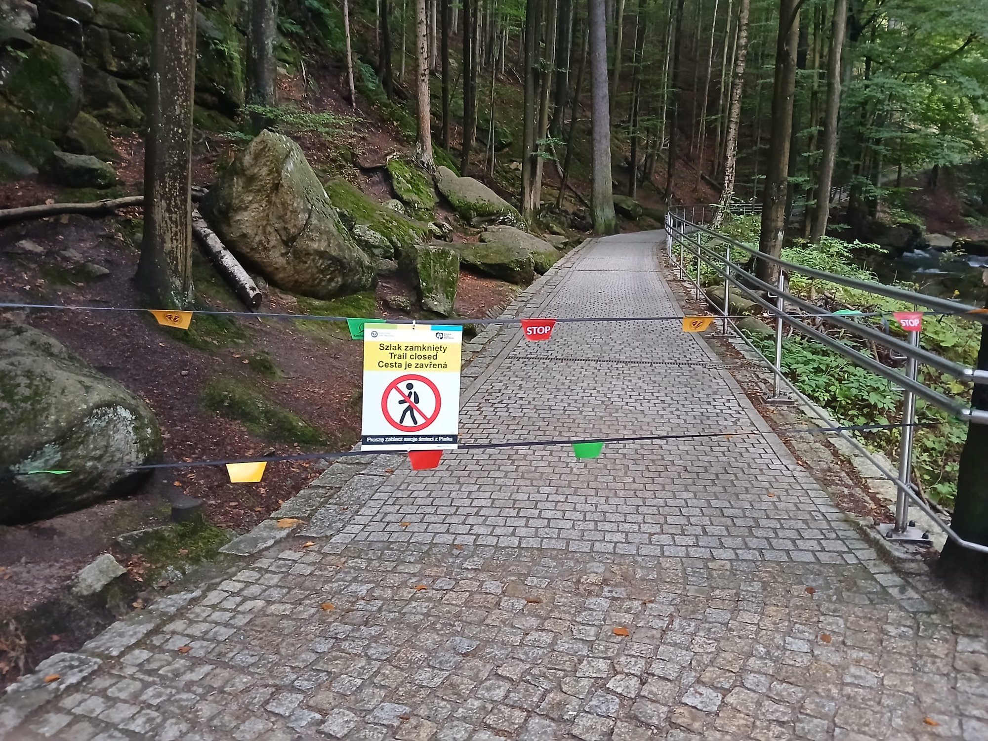 saperzy-usuwali-zardzewiaa-smierc-135142