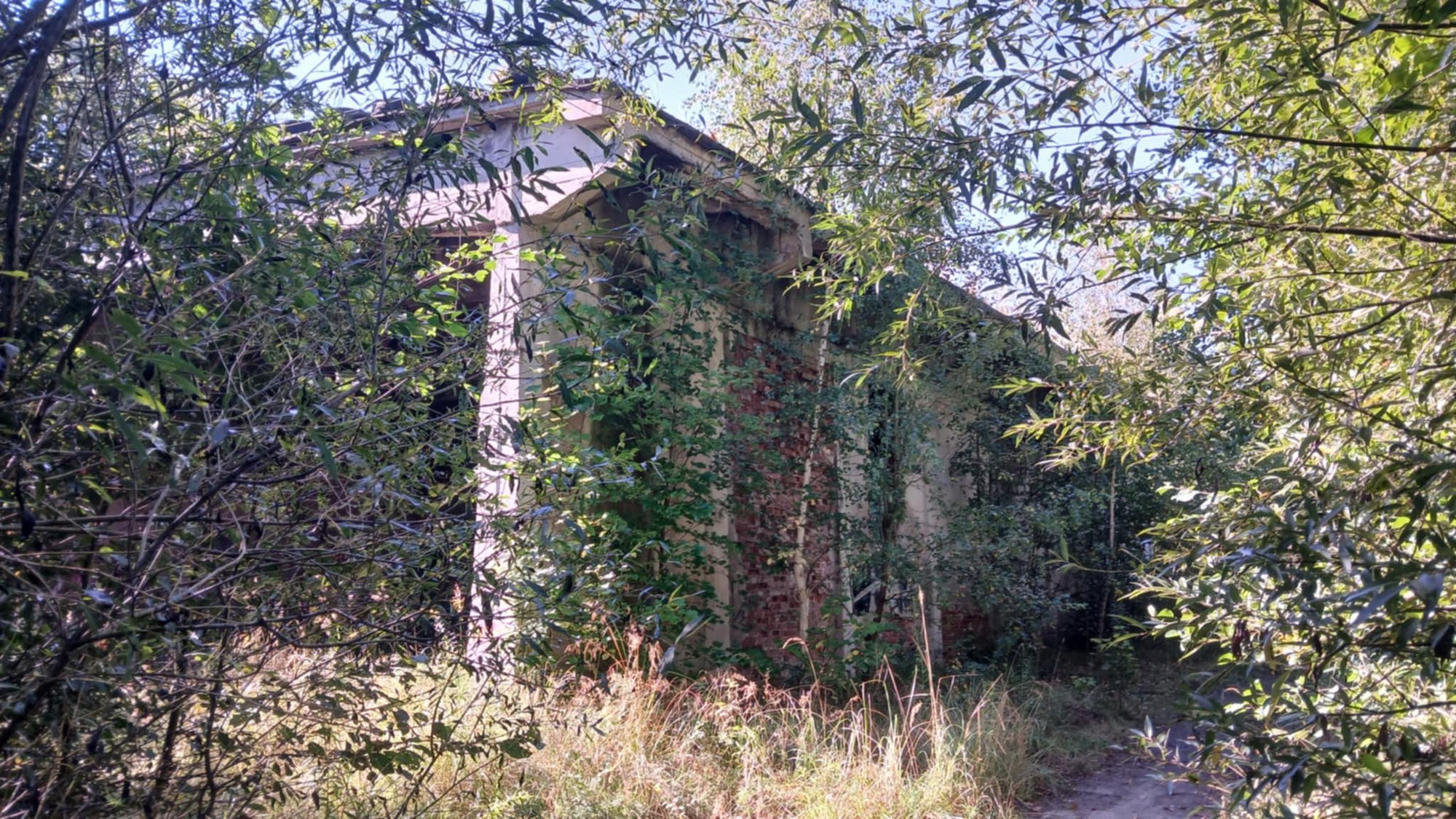 zarasta-papiernia-w-janowicach-wielkich-135229