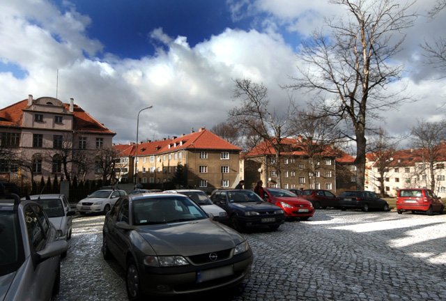 w-dzien-parkuja-w-nocy-wariuja-13525