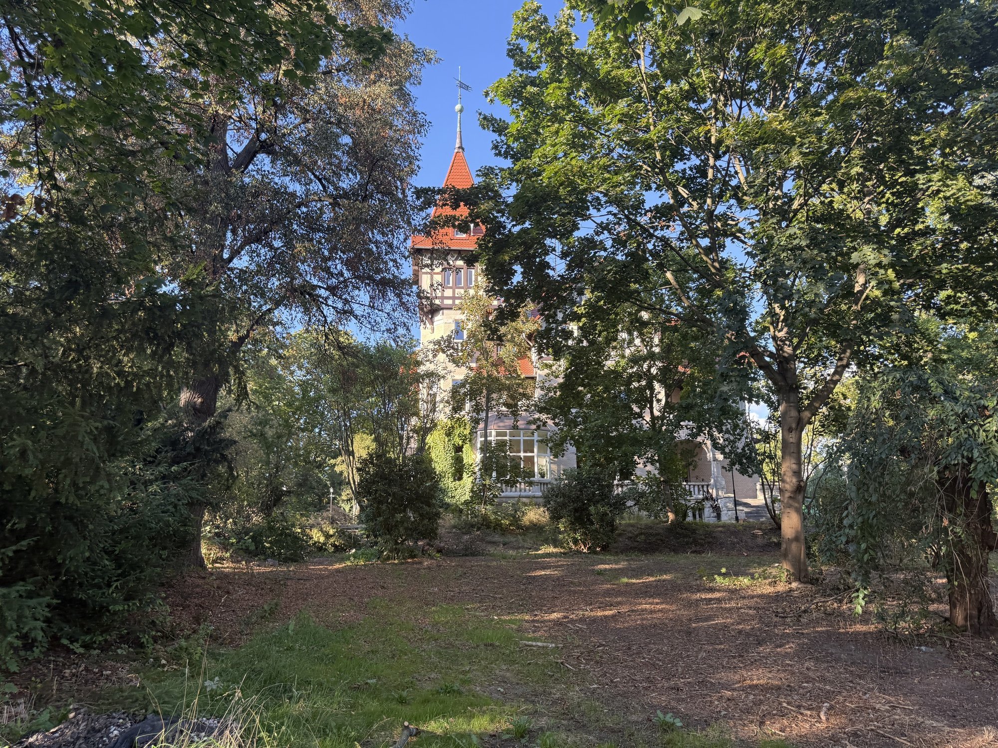 zameczek-juz-lsni-teraz-czas-na-park-135300