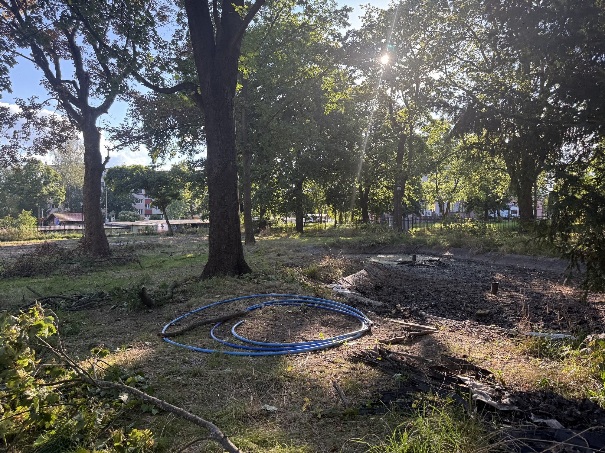 zameczek-juz-lsni-teraz-czas-na-park-135300