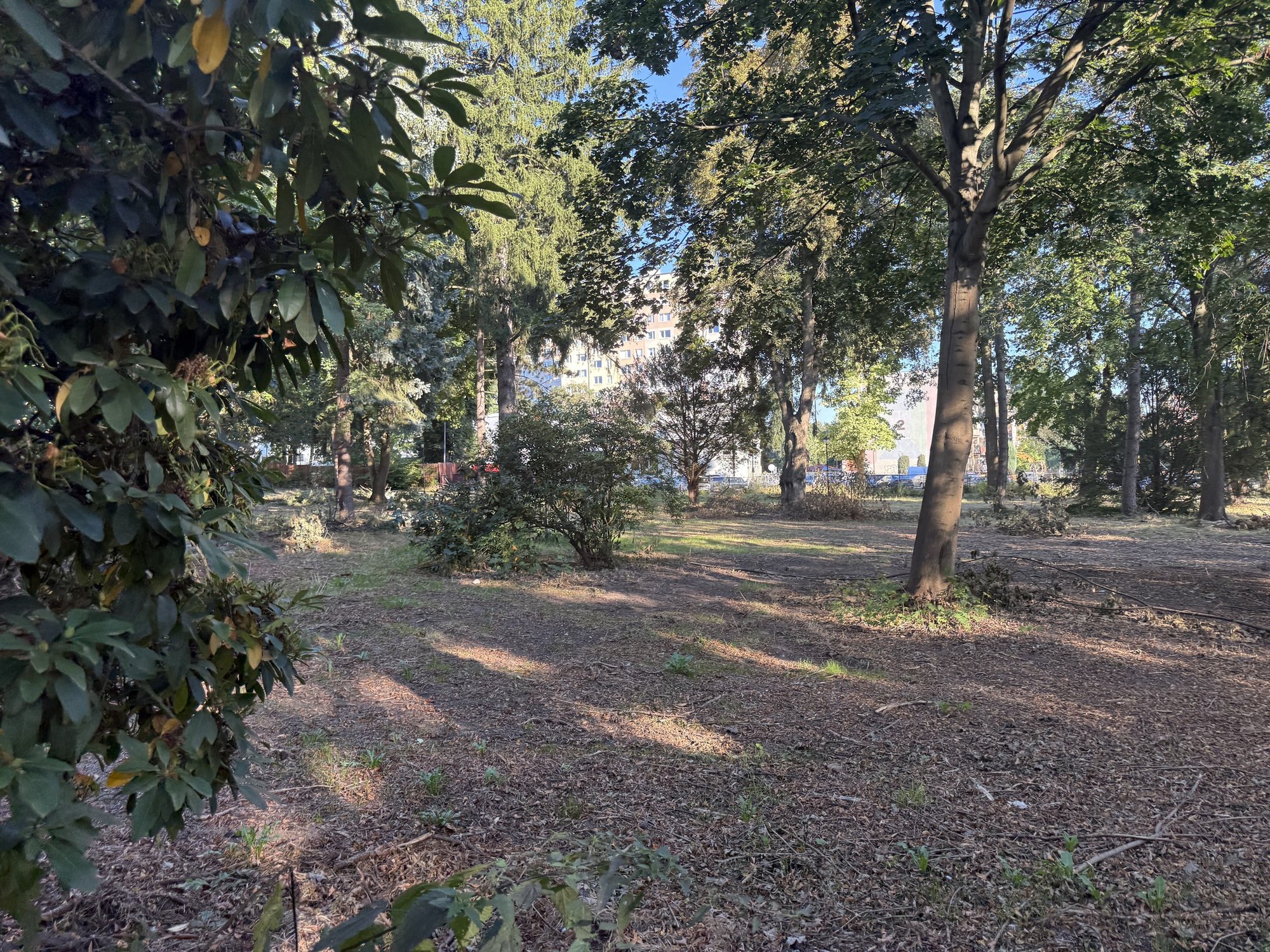 zameczek-juz-lsni-teraz-czas-na-park-135300