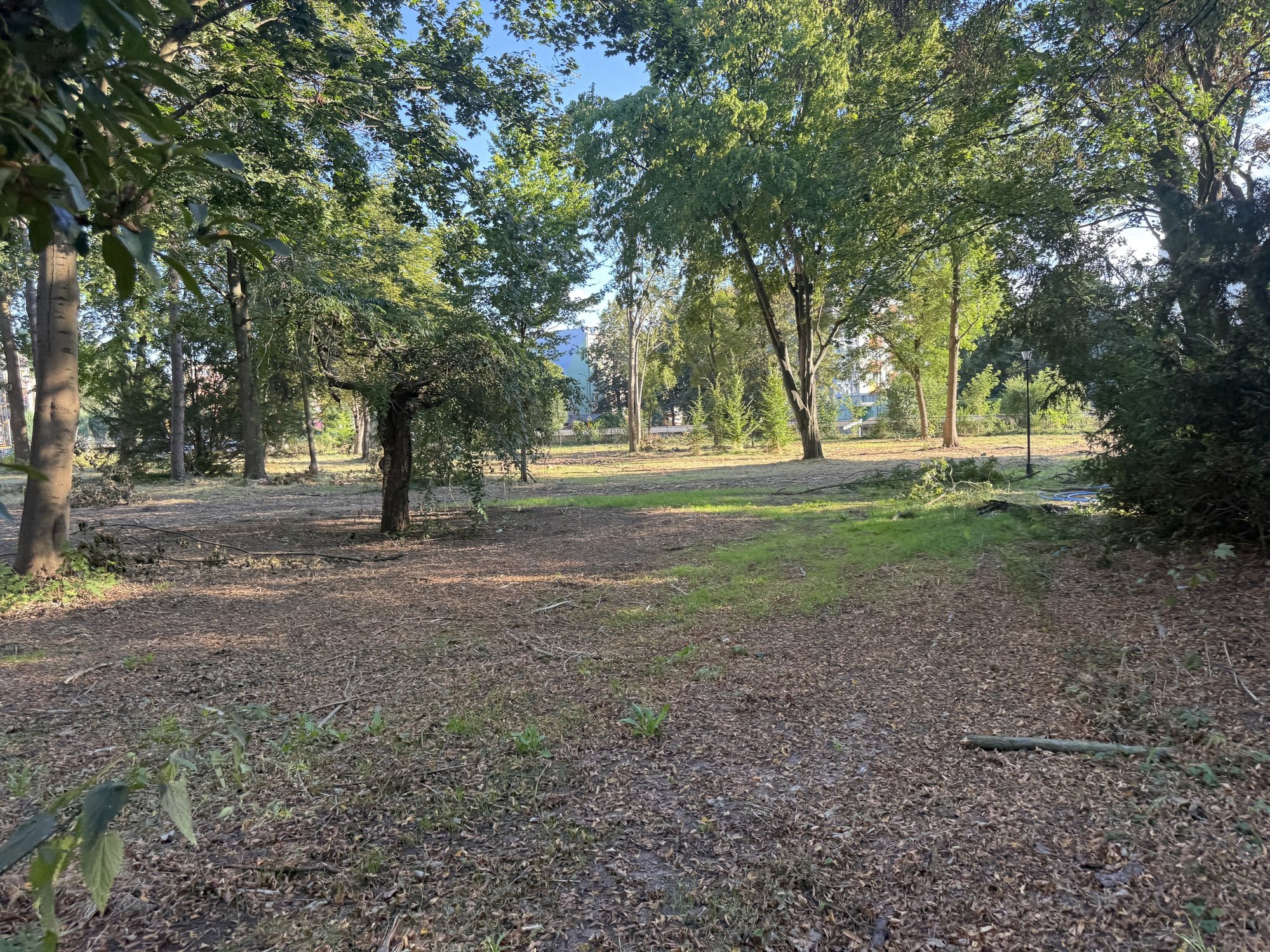 zameczek-juz-lsni-teraz-czas-na-park-135300