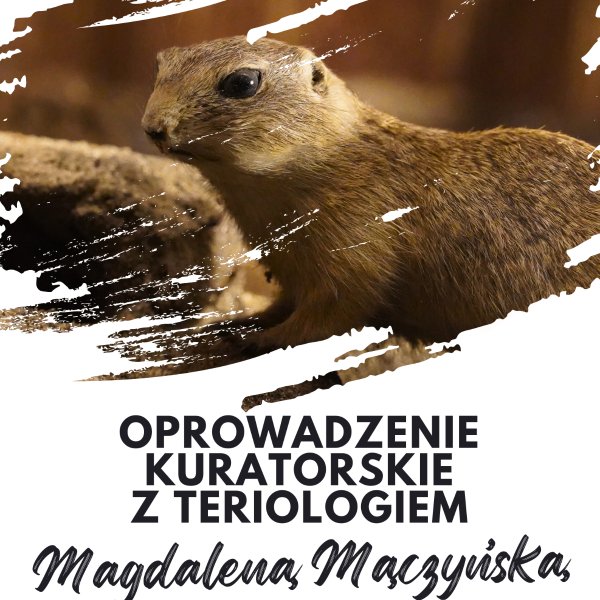 co-bedzie-sie-dziao-w-miescie-i-regionie-135457
