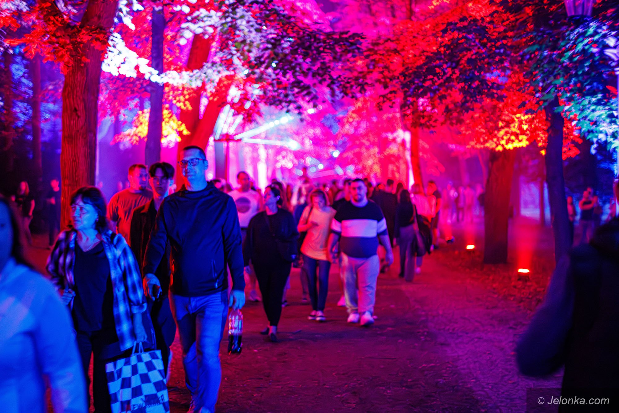 festiwal-swiata-3-dzien-fotogaleria-135712