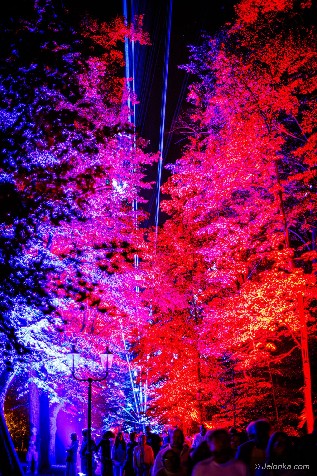 festiwal-swiata-3-dzien-fotogaleria-135712