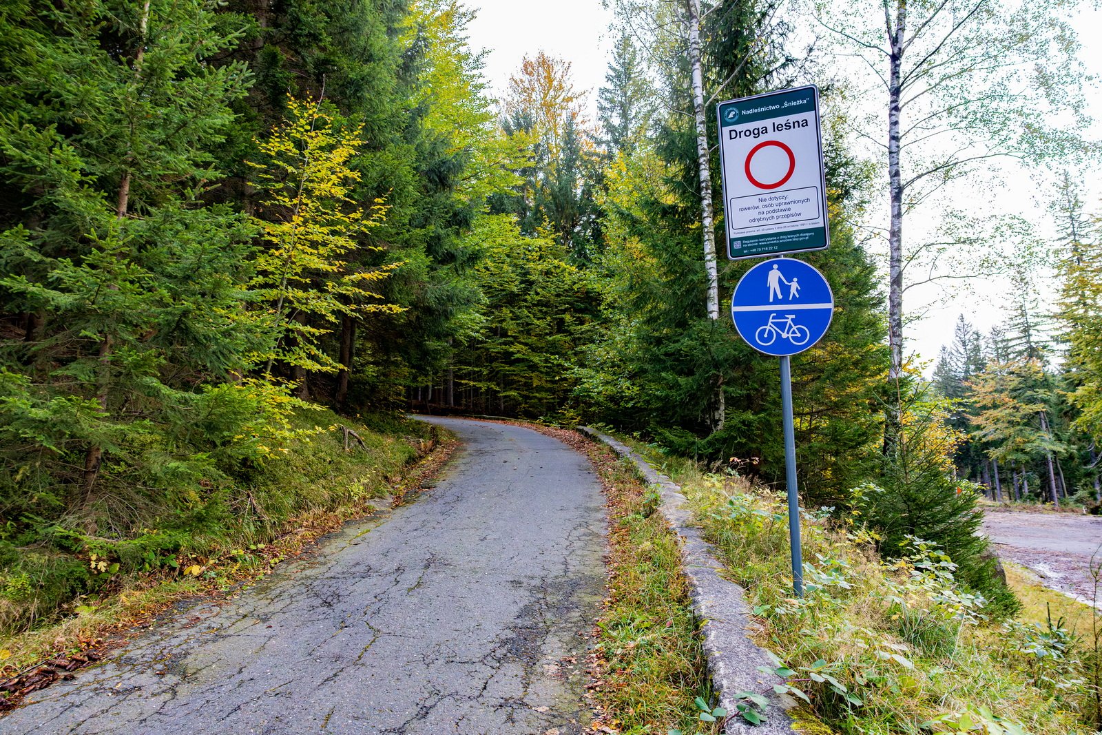 zjazd-z-przeeczy-karkonoskiej-do-podgorzyna-135905