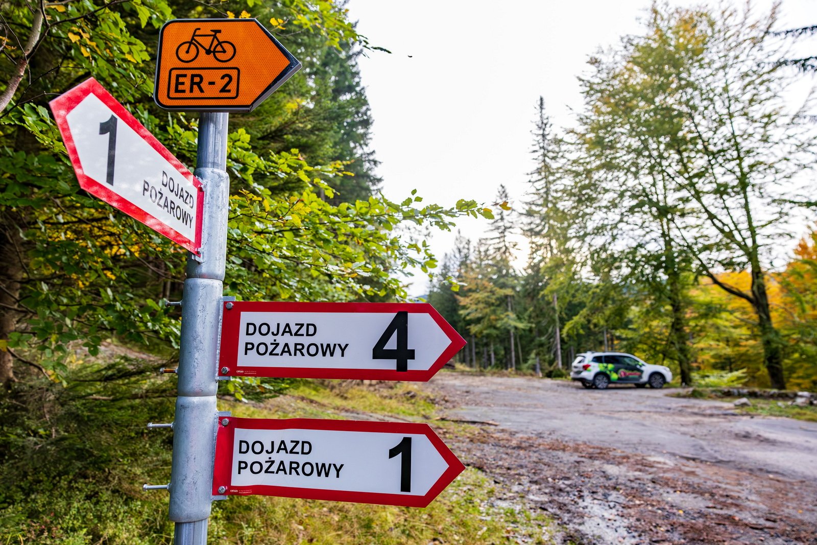 zjazd-z-przeeczy-karkonoskiej-do-podgorzyna-135905