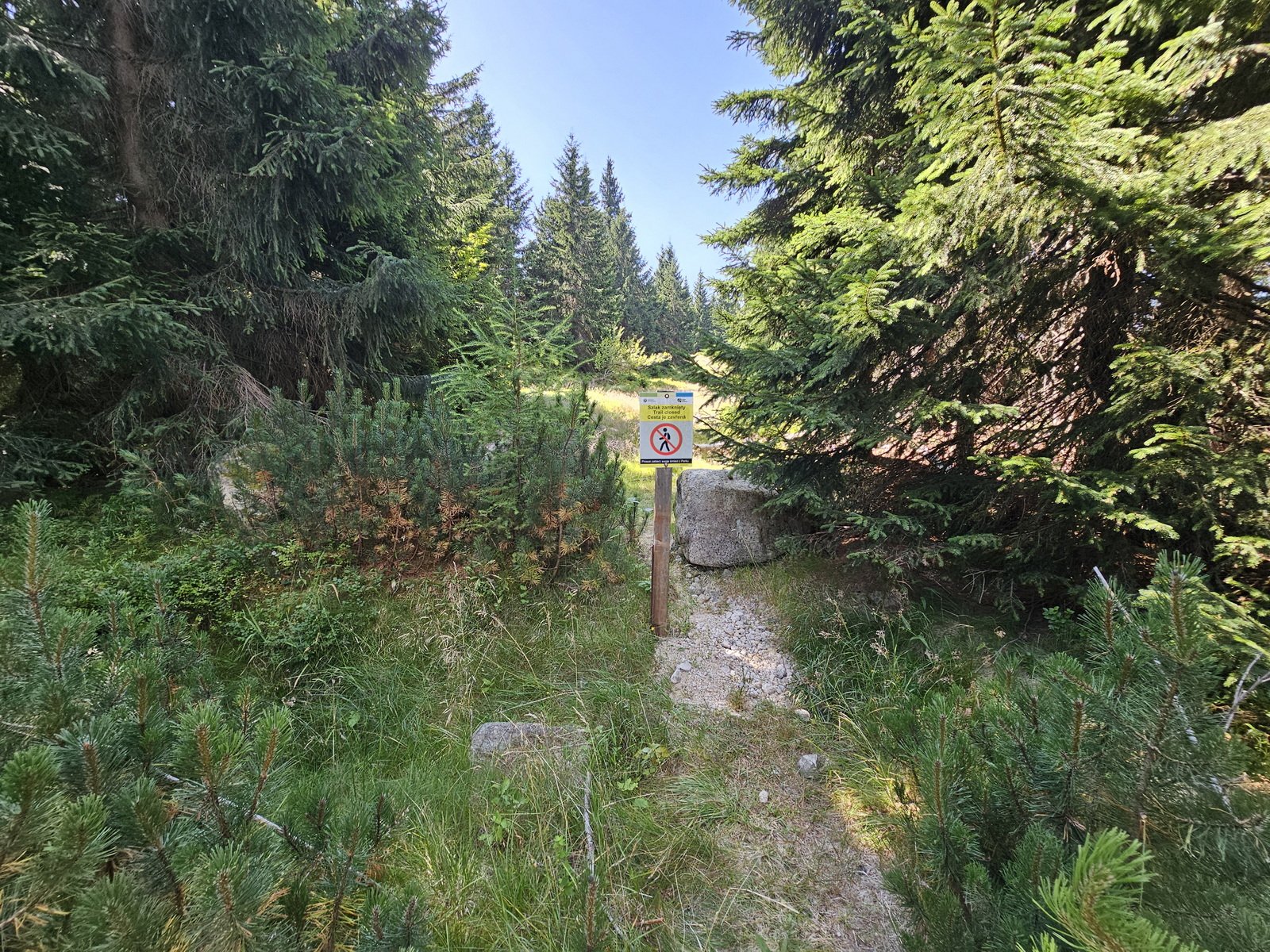 zjazd-z-przeeczy-karkonoskiej-do-podgorzyna-135905