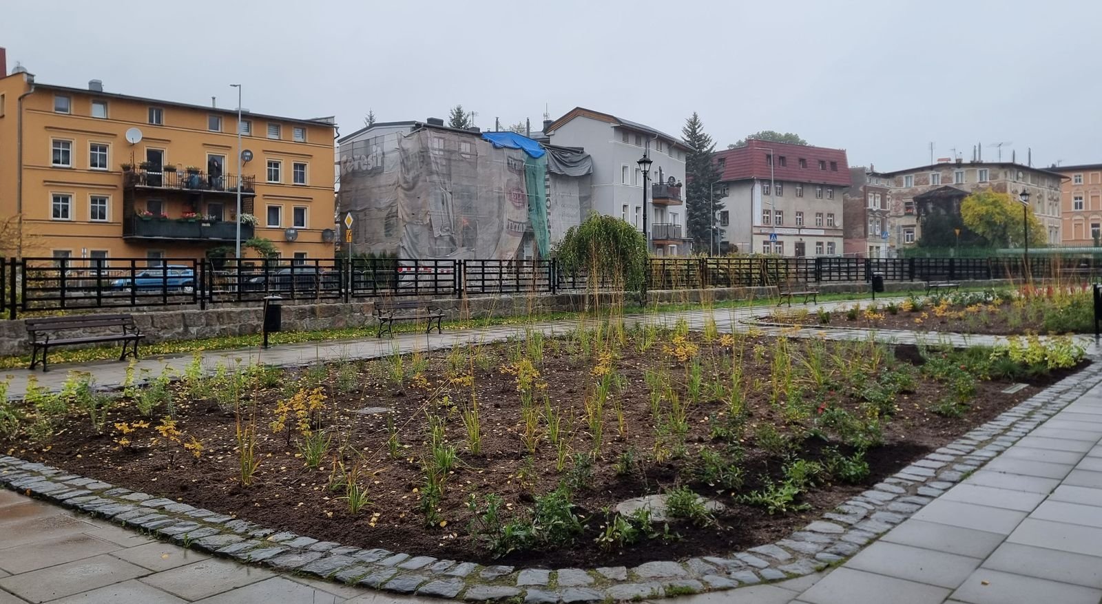 wiecej-zieleni-w-sercu-cieplic-136250