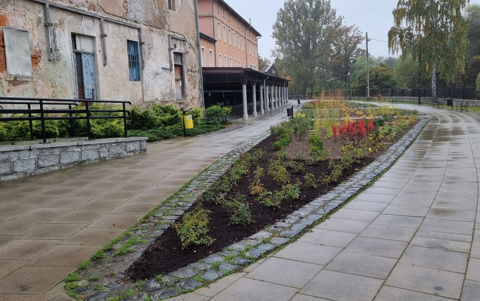 wiecej-zieleni-w-sercu-cieplic-136250