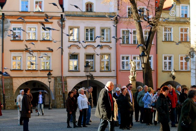Niemieckim wycieczkom przybywają holenderscy