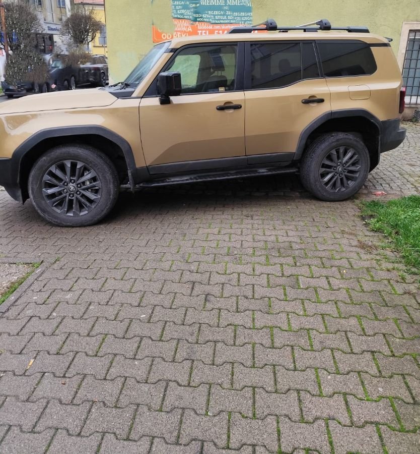 na-chodniku-na-trawie-i-po-mandacie-136404
