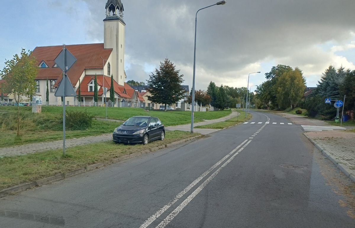 na-chodniku-na-trawie-i-po-mandacie-136404
