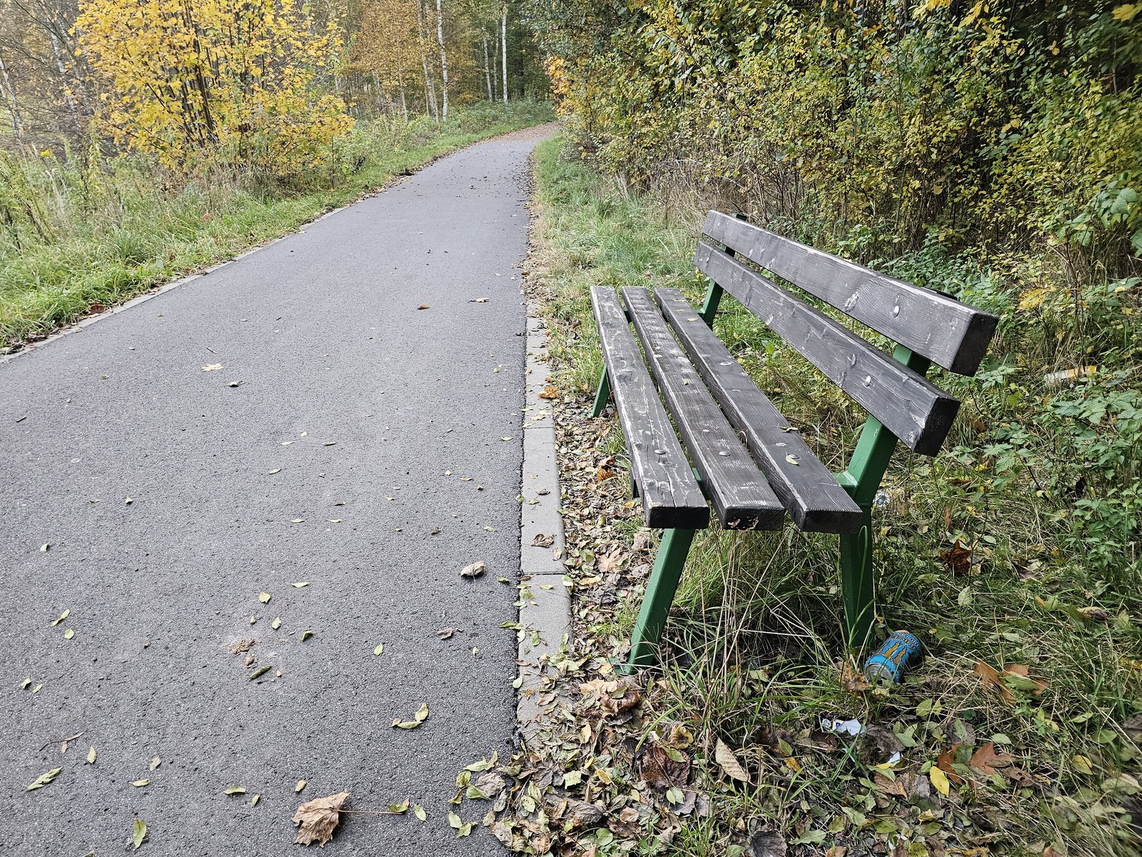 sciezka-rowerowa-tonie-w-smieciach-136516