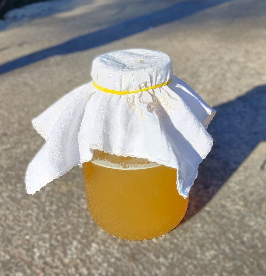 kombucha-naturalna-bomba-probiotyczna-136575
