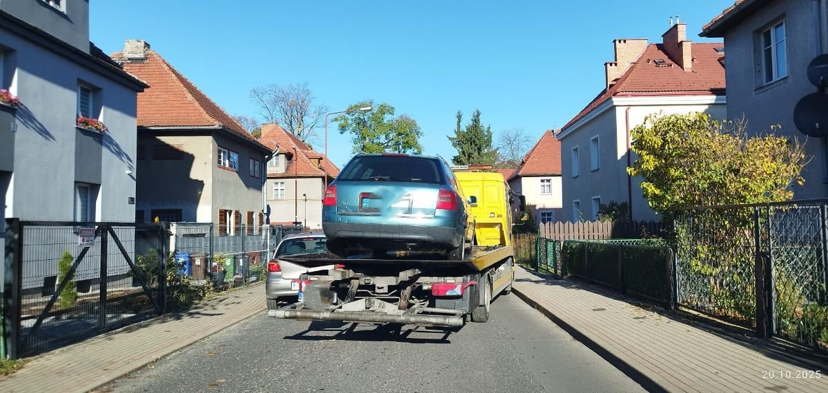 ford-i-audi-odholowane-na-zom-136599