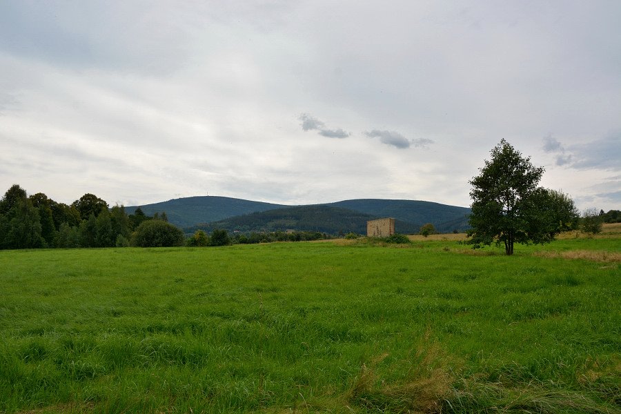 wieza-na-rok-za-4-tys-z-136661