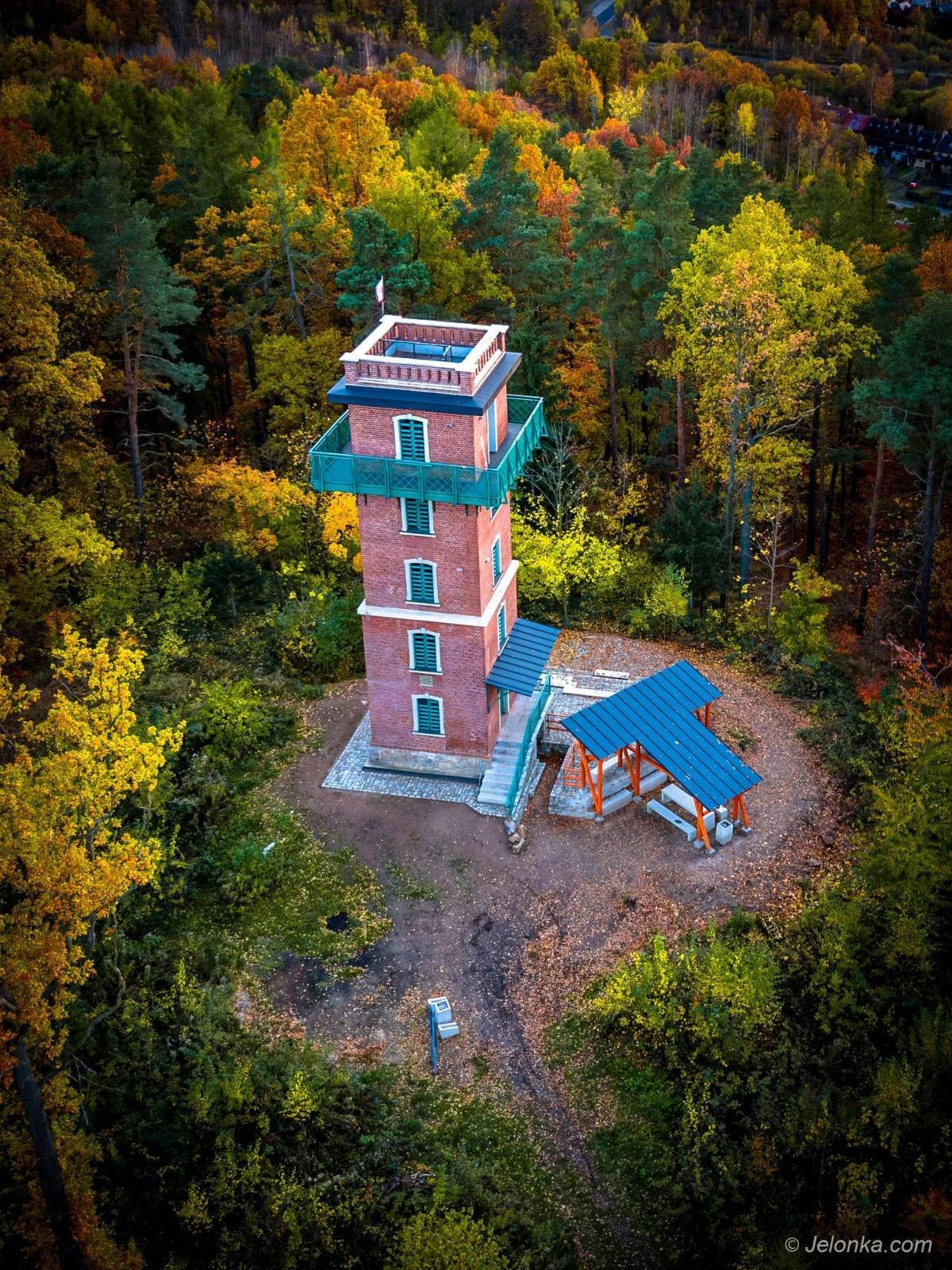 nowe-sciezki-na-sotysiej-gorze-136687