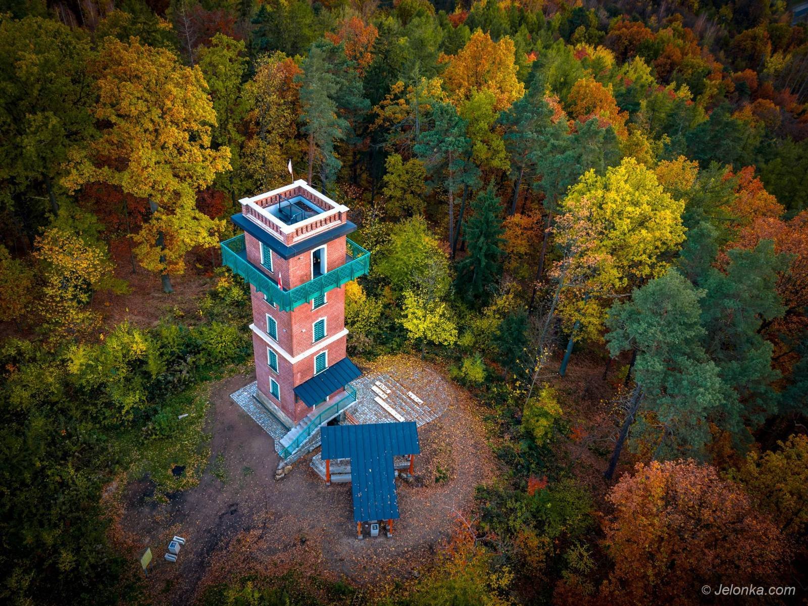 nowe-sciezki-na-sotysiej-gorze-136687