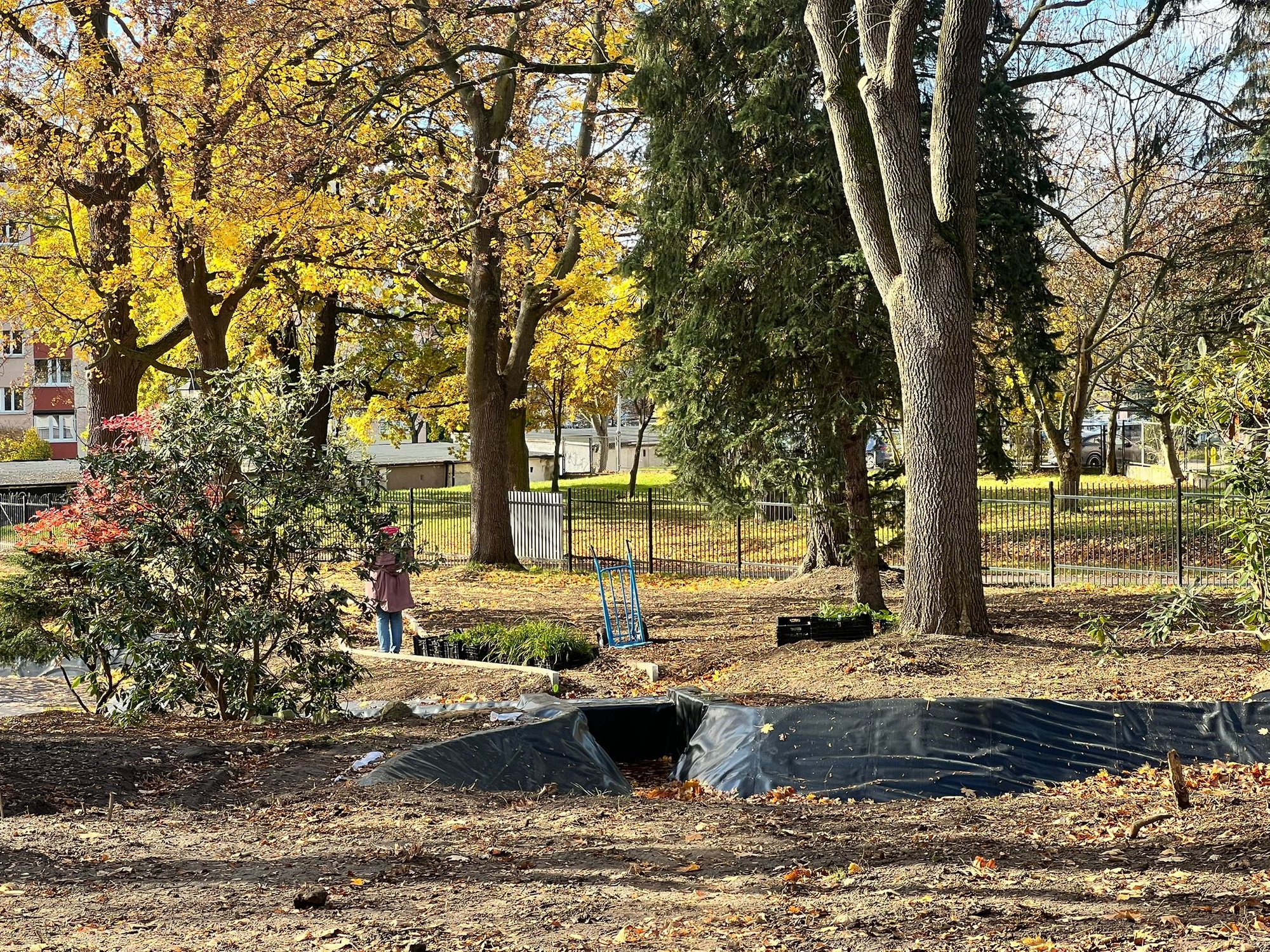 koniec-z-chaszczami-wraca-park-136795