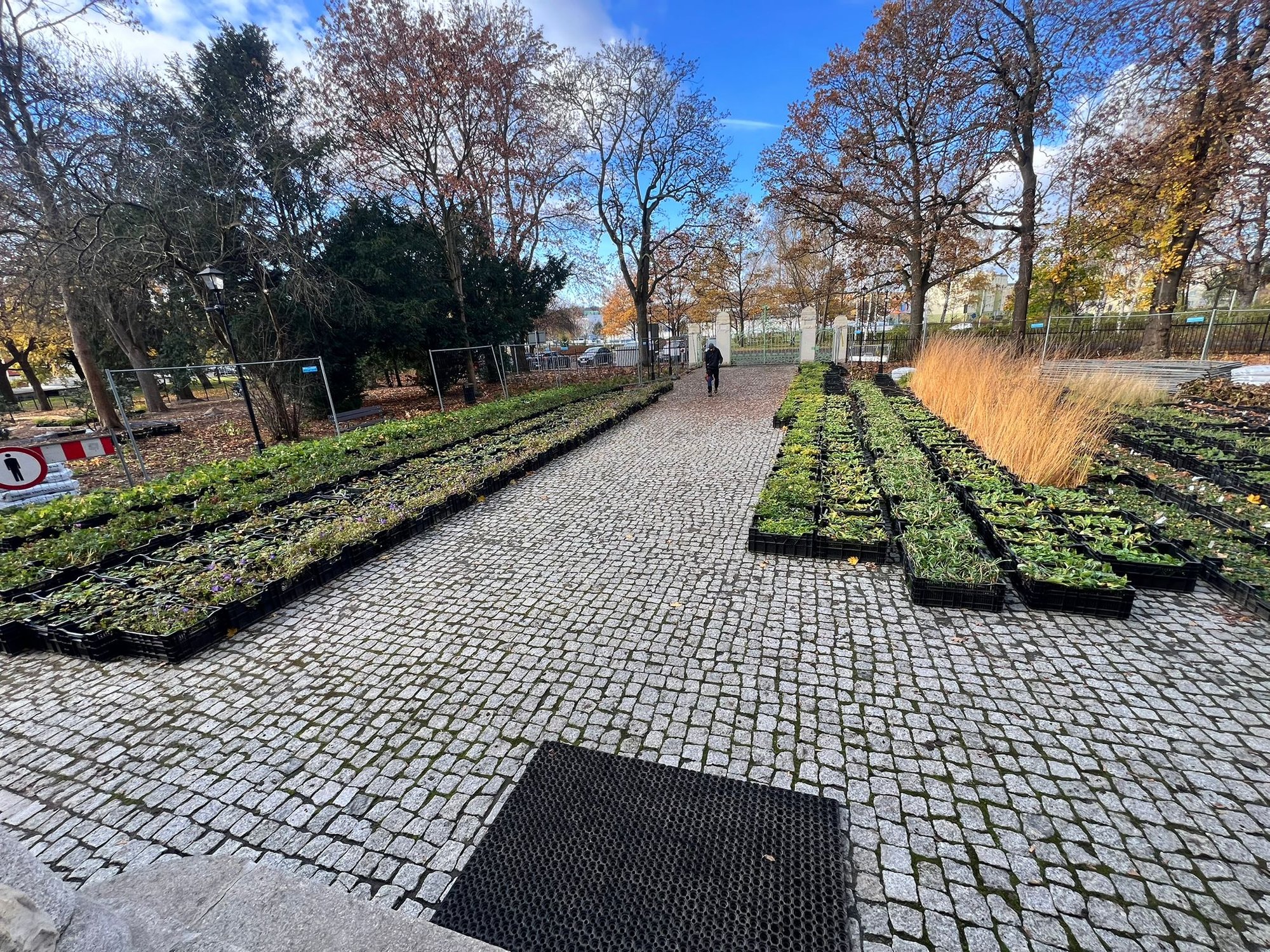 koniec-z-chaszczami-wraca-park-136795