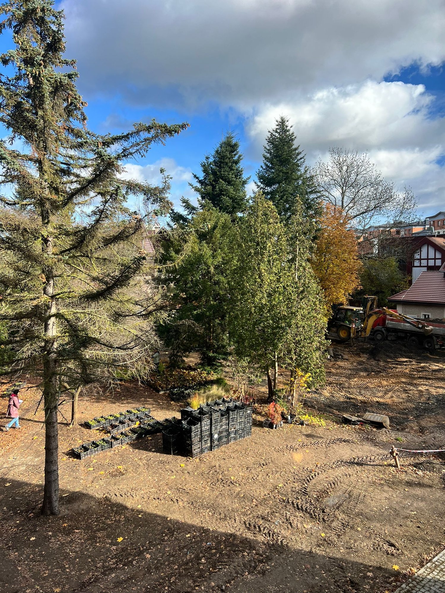 koniec-z-chaszczami-wraca-park-136795
