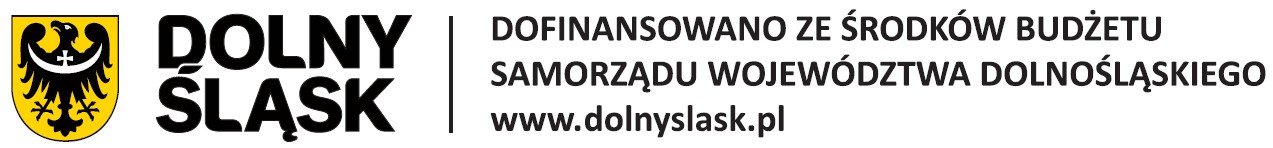 pszczoy-w-wielkim-miescie-od-nowego-jorku-po-gryfow-slaski-137351