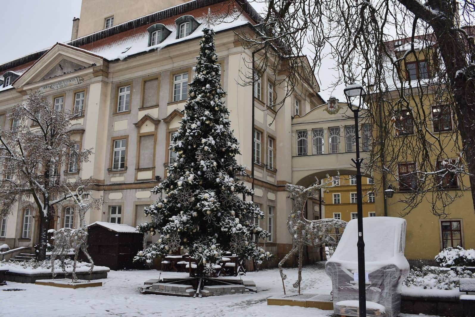 swieta-i-nowy-rok-na-maym-plusie-137473