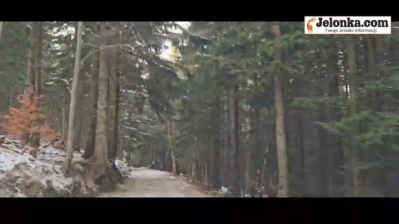 w-godzinke-do-schroniska-nad-omniczka-film-137488