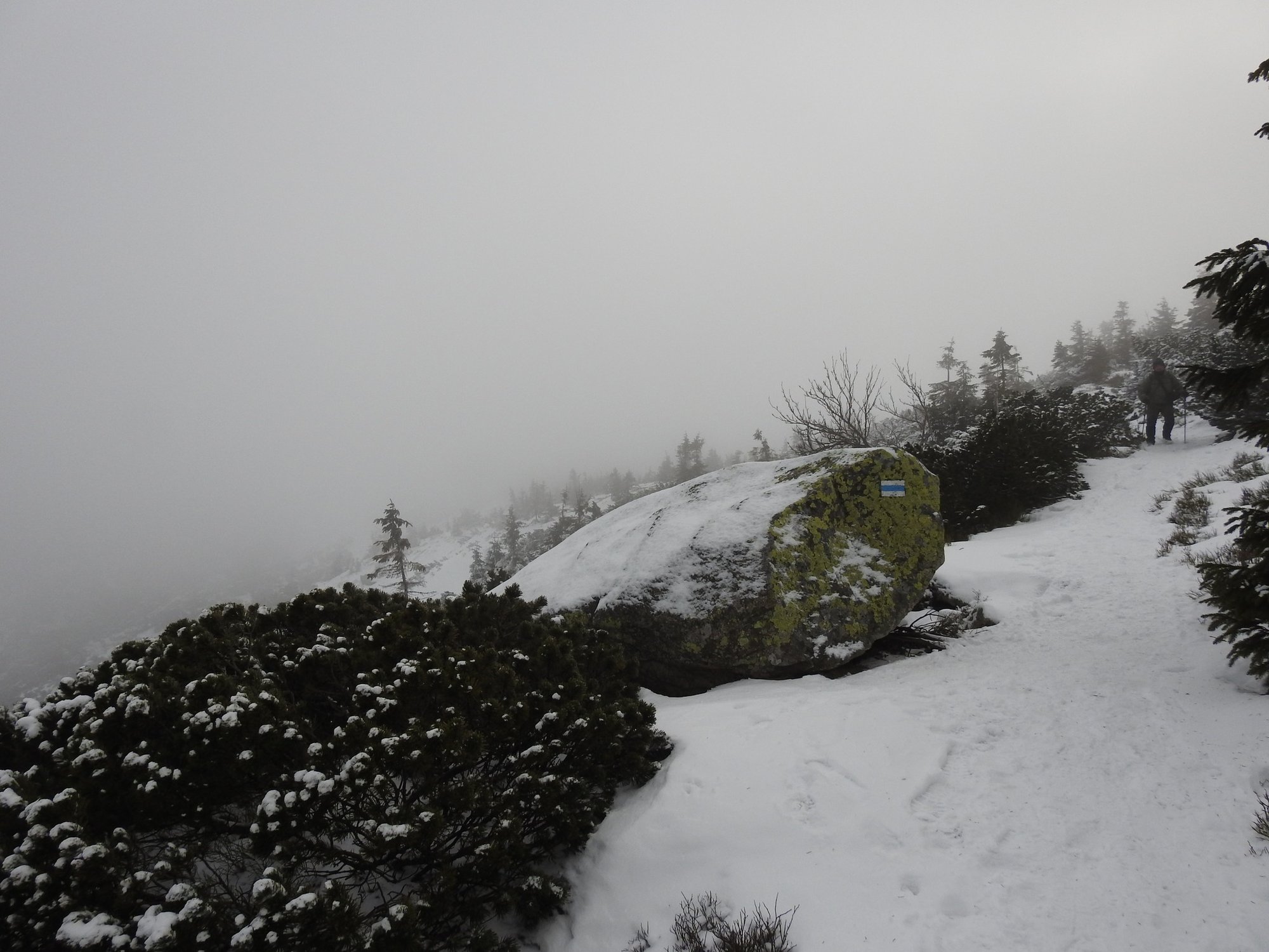sliskie-szlaki-w-karkonoszach-137503