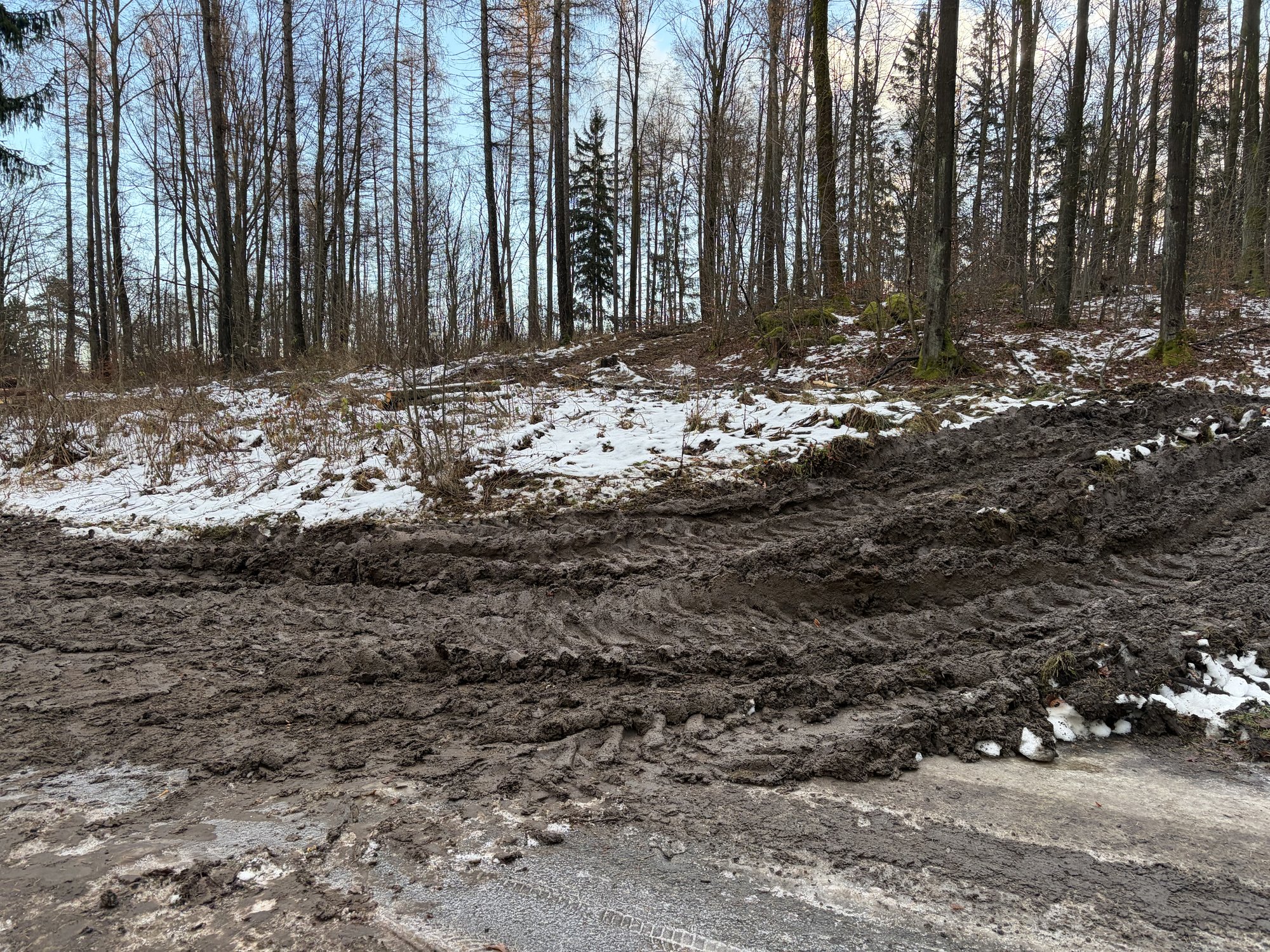 niebezpieczna-droga-w-sosnowce-mieszkancy-maja-dosc-ciezarowek-niszczacych-gminny-trakt-137529