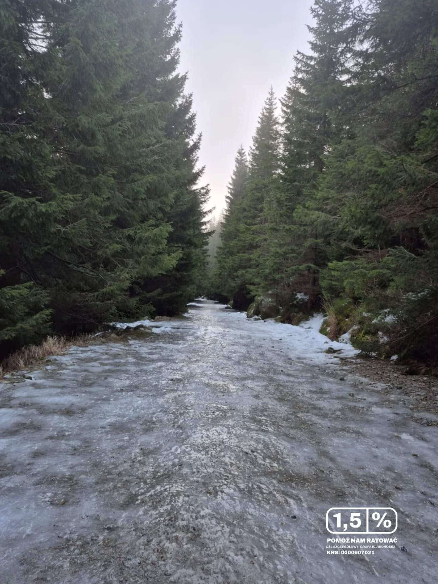 karkonosze-jak-szklane-gory-137535