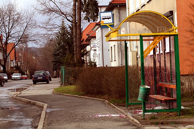 znow-demoluja-przystanki-sady-sa-pobazliwe-13757
