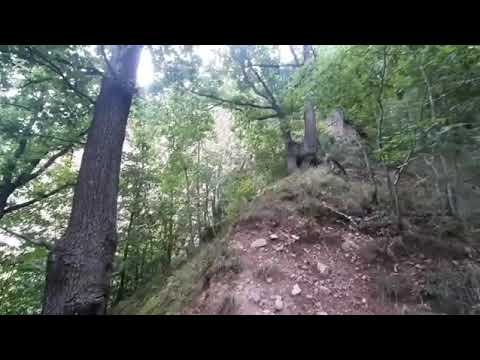 organy-odpoczynku-137572