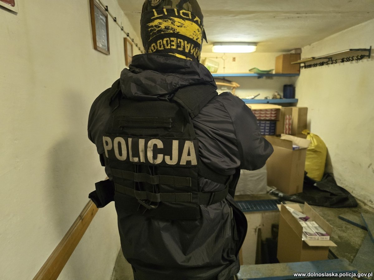 wielka-akcja-przeciw-gangsterom-az-11-osob-zatrzymanych-137636
