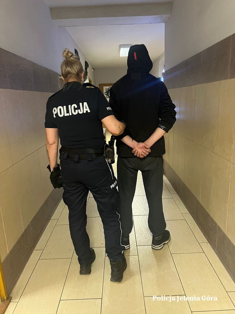 ukrad-defibrylator-z-pociagu-137810