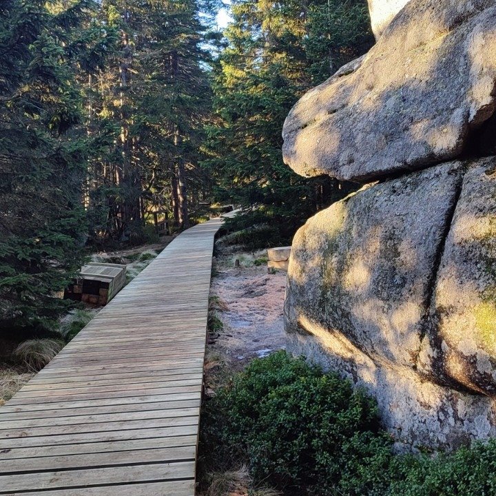 otwarty-szlak-do-pielgrzymow-137919