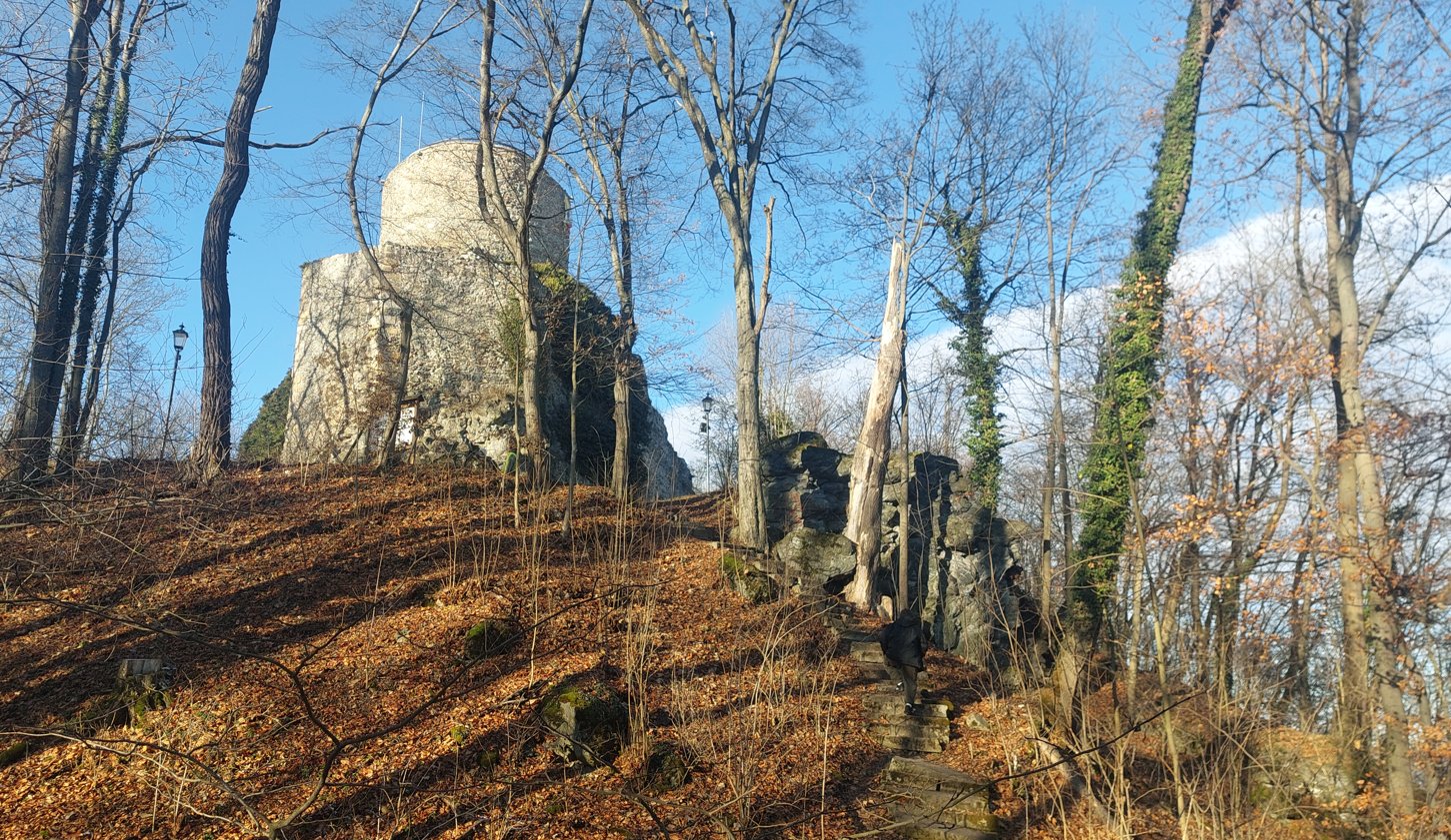 wlen-najstarszy-zamek-regionu-wciaz-czuwa-137944