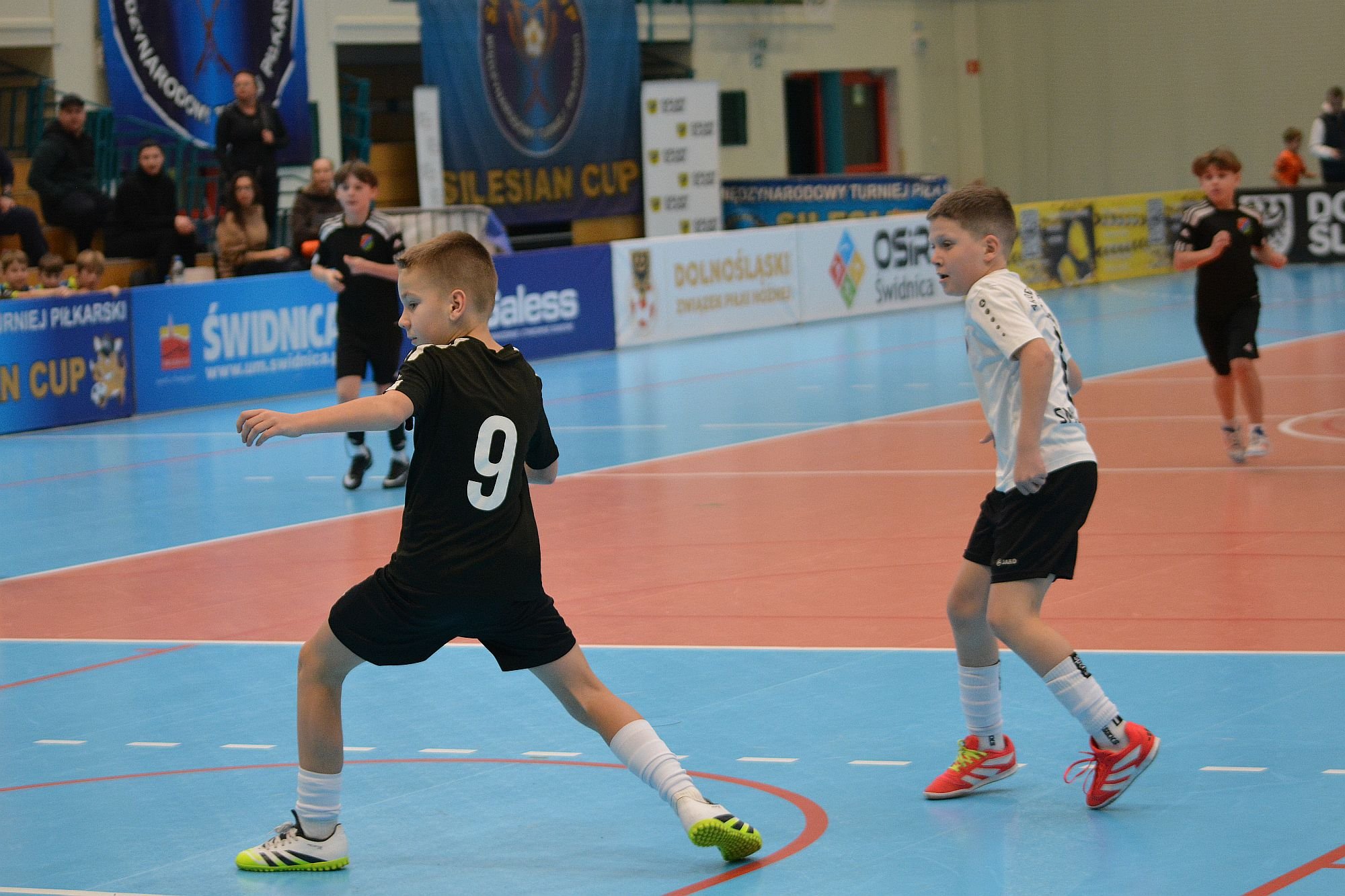 chojnik-z-podium-i-tytuem-mvp-137996