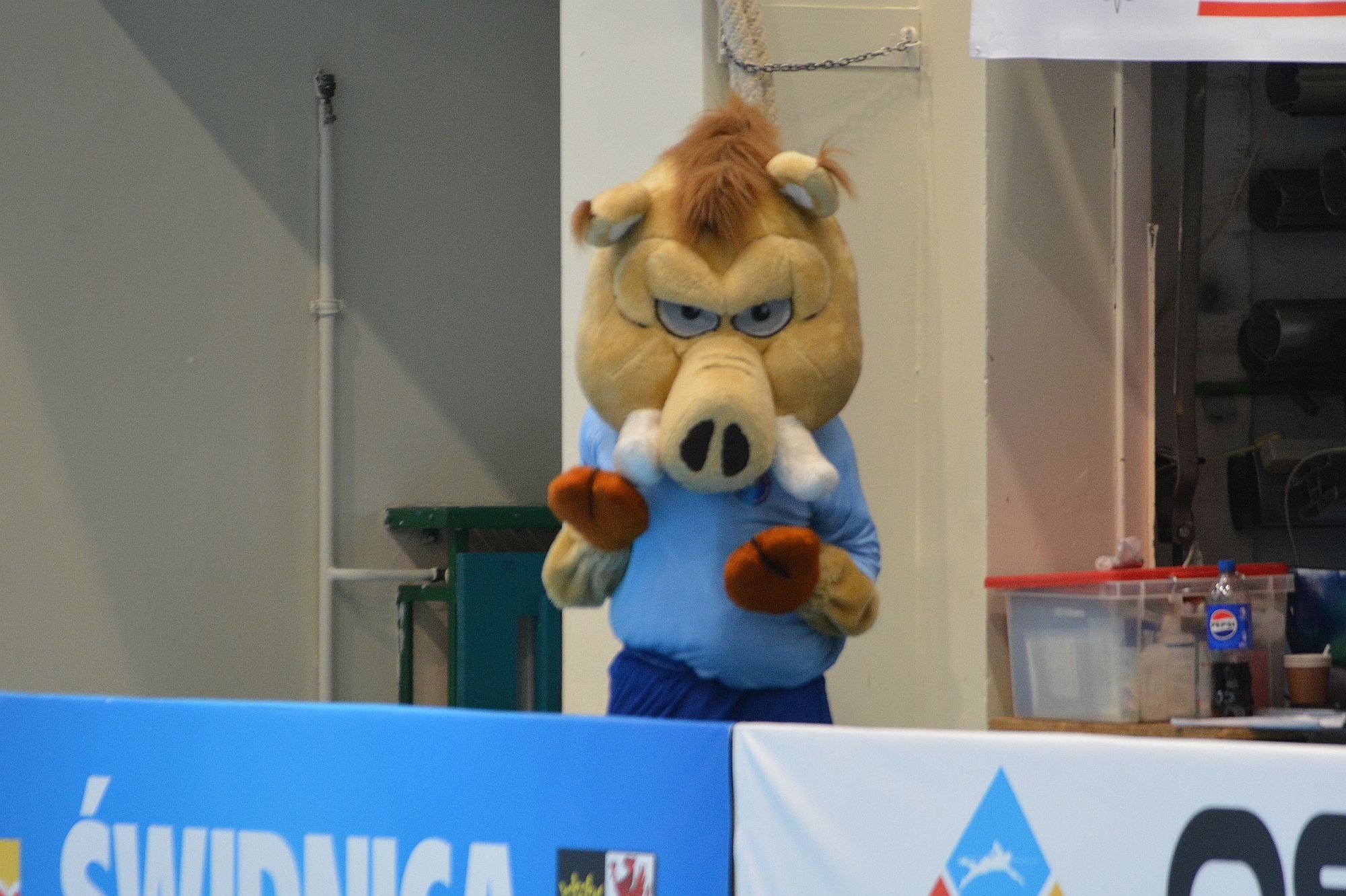 chojnik-z-podium-i-tytuem-mvp-137996