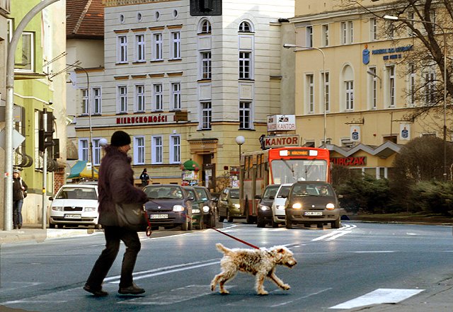 kopoty-z-sygnalizacja-w-centrum-13871