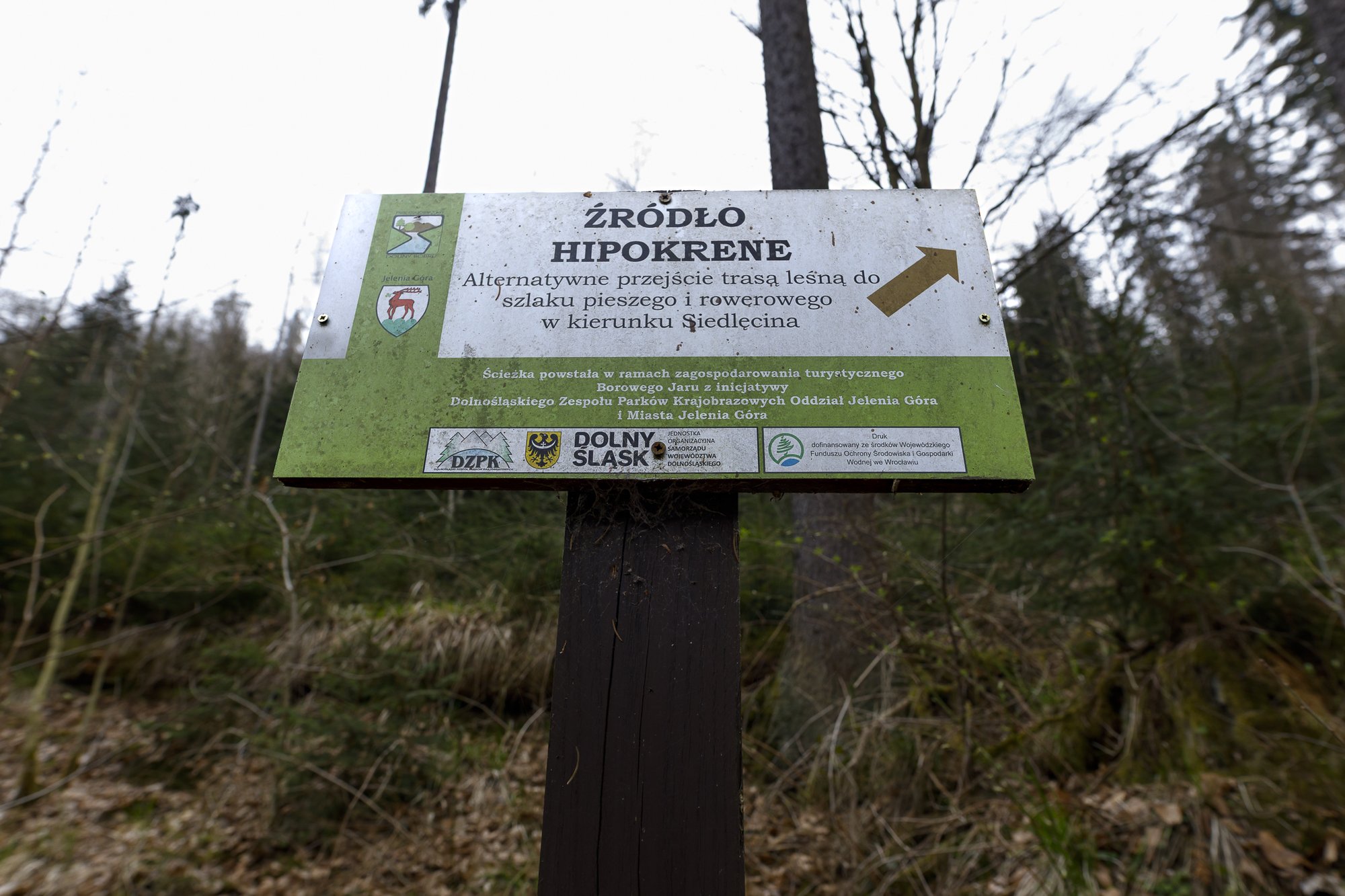 Hipokrene – "rzut beretem" od ścieżki rowerowej na Perłę Zachodu