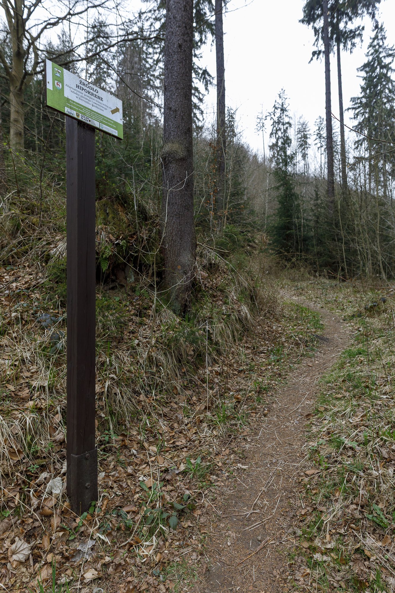 Hipokrene – "rzut beretem" od ścieżki rowerowej na Perłę Zachodu