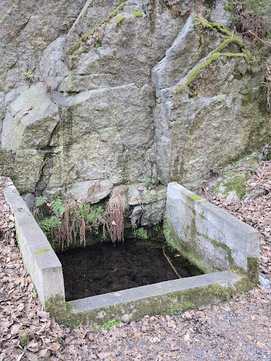 Hipokrene – "rzut beretem" od ścieżki rowerowej na Perłę Zachodu