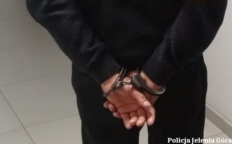 Zatrzymany przez policjantów za kradzieże w sklepie