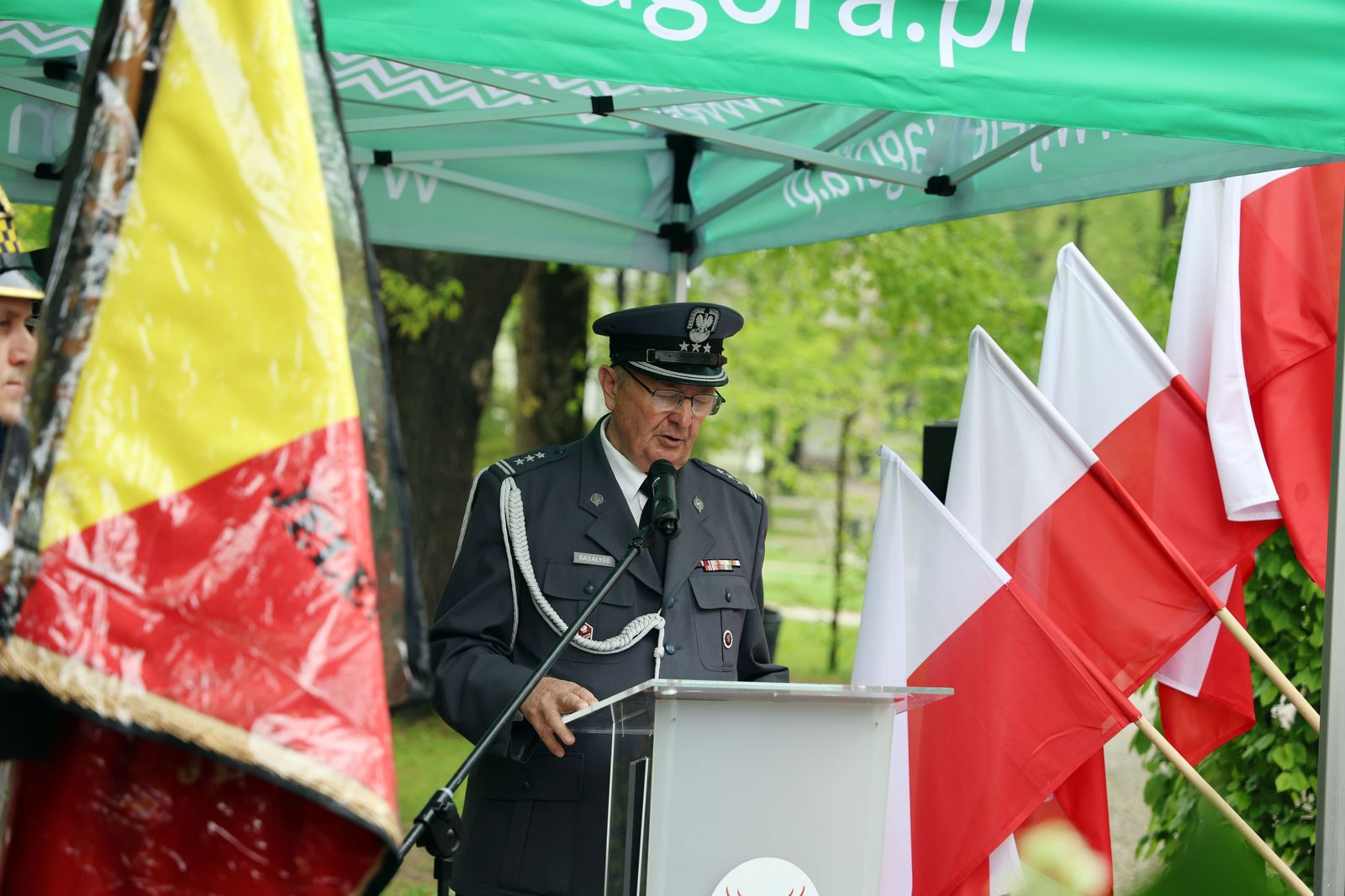 Obchody rocznicy zakończenia wojny w Cieplicach