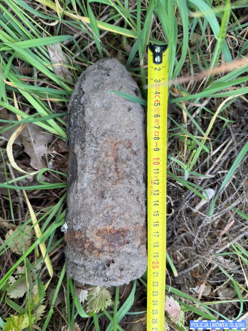 Poszła na spacer, znalazła bombę